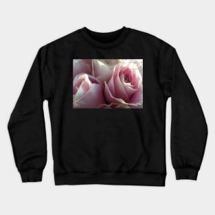 Soft Glowing Baby Pink Roses Crewneck Sweatshirt